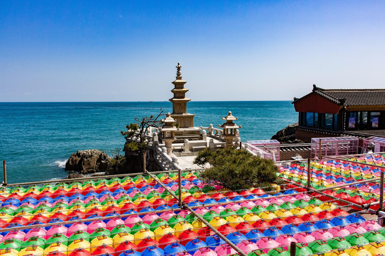 Busan & Gyeongju Highlights 2 Days Combo Tour from Busan