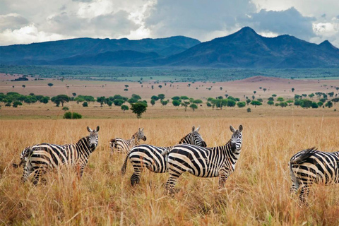 4 Day Breathtaking Safari in Kidepo Valley National Park