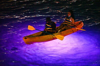 San Juan, experiencia de kayak nocturno LED en la laguna de Condado - Hizvo