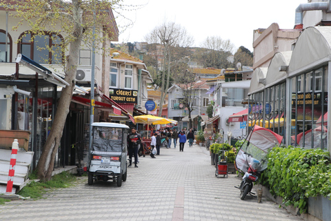 Istanbul: Princes' Islands Trip from Old City Port + Pick Up Tour Including Lunch Excluding Hotel Pick up