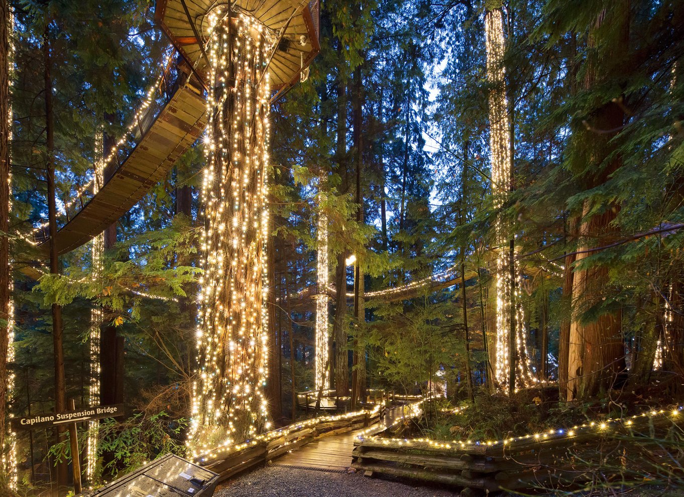 Vancouver: Capilano Suspension Bridge Park billet