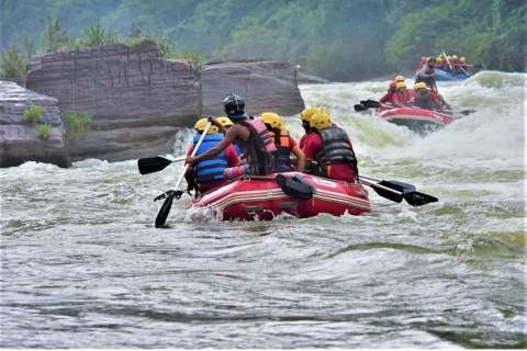 From Colombo: White Water Rafting in Kithulgala Colombo: White Water Rafting in Kithulgala with Lunch
