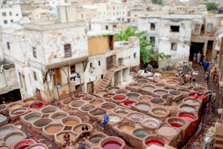 من مراكش: جولة لمدة 4 أيام إلى المدن الإمبراطورية ووليلي