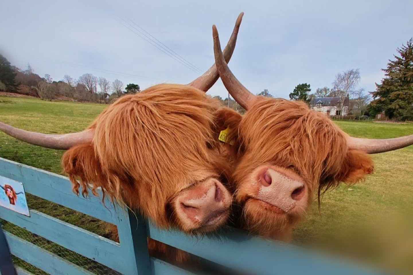 Escursione Privata: Scopri le Highlands Settentrionali