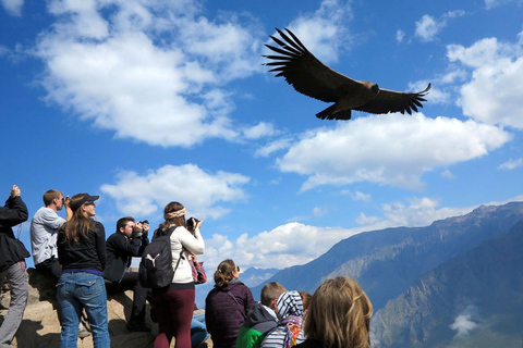 Arequipa: tour di 2 giorni del Canyon del Colca