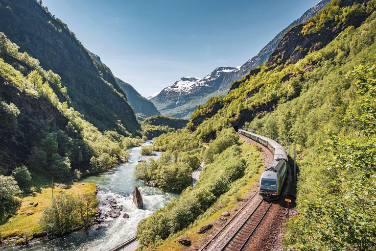 Die Flåmbahn &amp; die Nærøyfjord-TourThe Flåm Railway &amp; the Nærøyfjord Tour