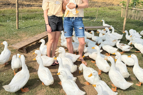 Hoi An Countryside: Duck Farm & Vietnamese Coffee Experience