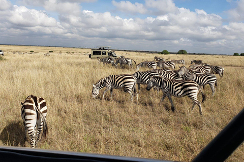 Nairobi Nationalpark: Halbtagestour für Gruppen mit Abholung