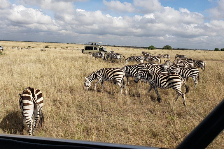 Park Narodowy Nairobi: półdniowa wycieczka grupowa z odbiorem z hotelu