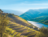 Porto, Private Douro Valley Tour, Yacth, Wine Taste & Lunch - Housity