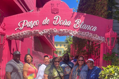 Puerto Plata: Cultural Tour & Ethical Monkey Observation