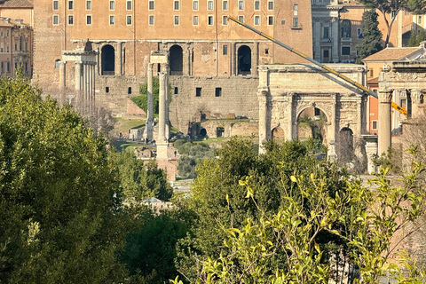 Rome: LATE BOOKING Colosseum, Forum & Palatine Entry passes Rome: Last Minute Colosseum, Roman Forum, Palatine Hill Tour
