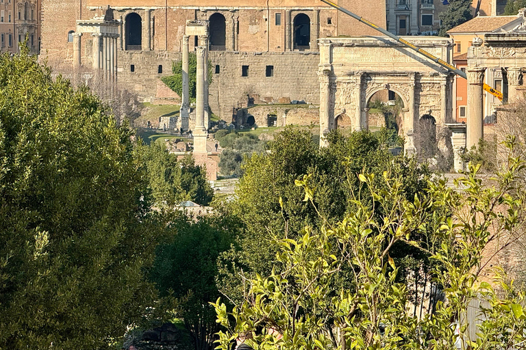Rome: LATE BOOKING Colosseum, Forum & Palatine Entry passes Rome: Last Minute Colosseum, Roman Forum, Palatine Hill Tour