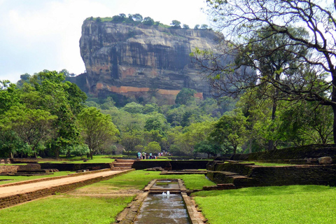 Sigiriya Rots &amp; Dambulla: Privétour van een dag vanuit Trincomalee