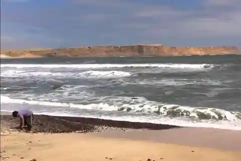 Da Paracas: Isole Ballestas e Riserva Nazionale di Paracas