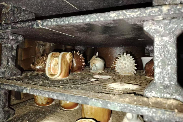 Wuhan: 3-Day Jingdezhen Pottery Tour with Rail & Hotel