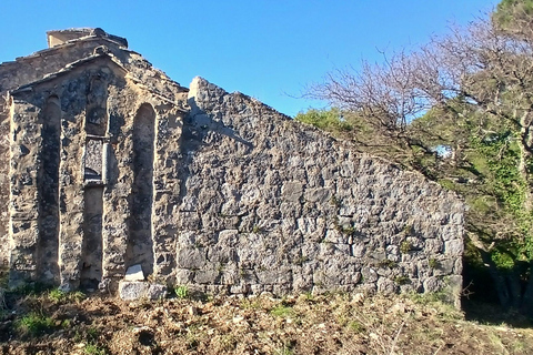 Dubrovnik: Lopud Island Walk & Panoramic Views