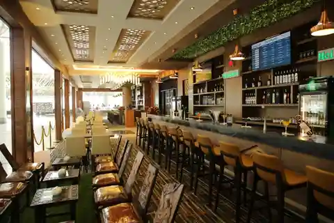 Addis Ababa Bole Airport (ADD): Premium Lounge Entry