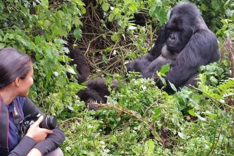 Kigali: Volcanoes Gorilla Trekking & Lake Ruhondo Boat Ride Kigali: Gorilla in Trekking Volcanoes National Park Only