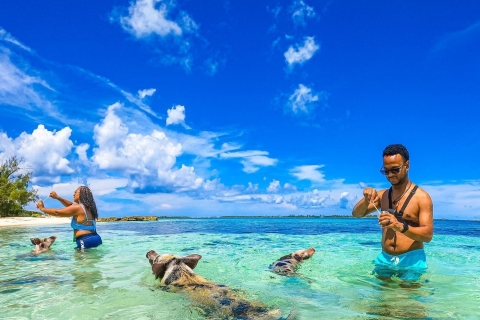 Nassau: Zwemmende Varkens Speedboot Watertaxi met drankjes