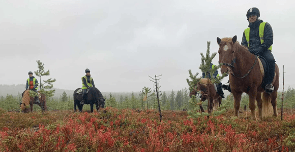 Levi: Summer/Autumn Riding Trek with Icelandic horses
