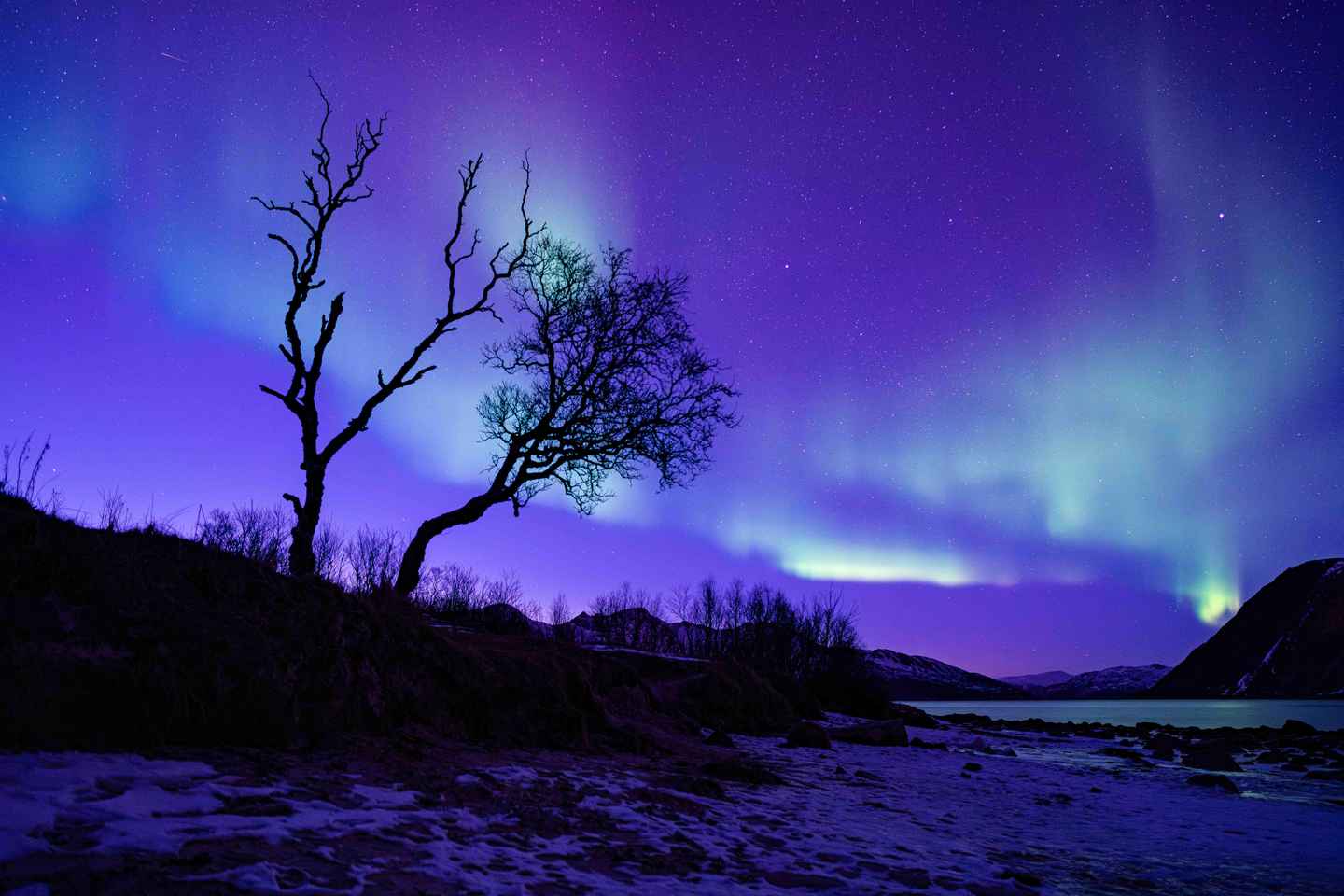 Тромсё: Тур по Северному сиянию с костром и профессиональными фото