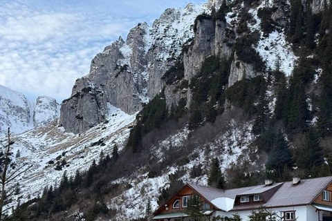 Brasov: Malaiesti Mountain Hut Guided Hike
