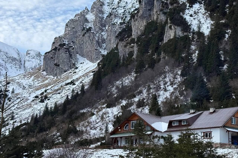 Brasov: Malaiesti Mountain Hut Guided Hike