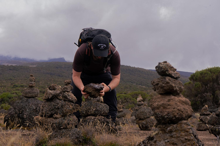 Moshi: Kilimanjaro Day Trip – Londorossi Gate hike to Shira