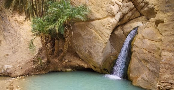 Departure from Djerba: Tozeur & the Mountain Oases
