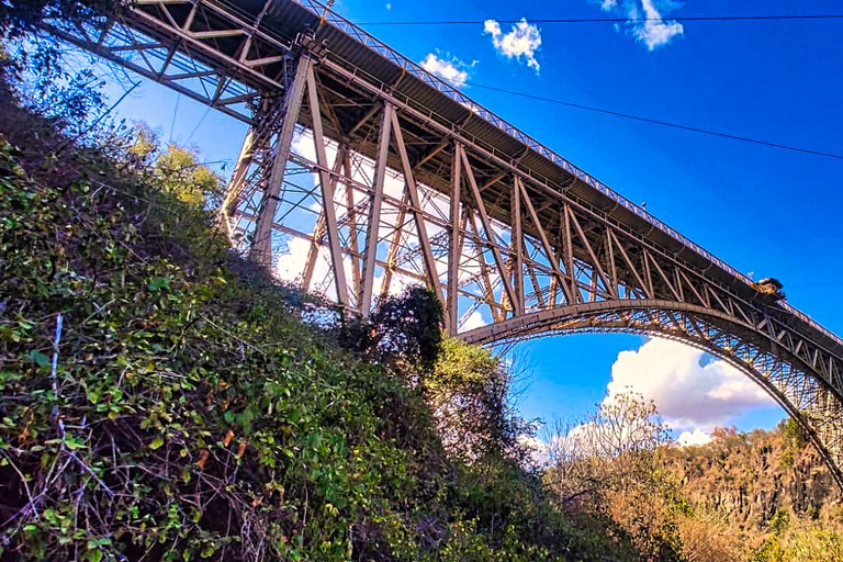 Guided Hike under the Bridge into the Zambezi Gorge Victoria Falls: Gorge Hike under the Bridge