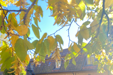 Oslo: Private Vintage Walking Tour with Photos Private Vintage Oslo Walk & Aesthetic Photos