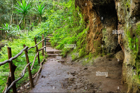 Från Nairobi: Karura Forest Nature Hike