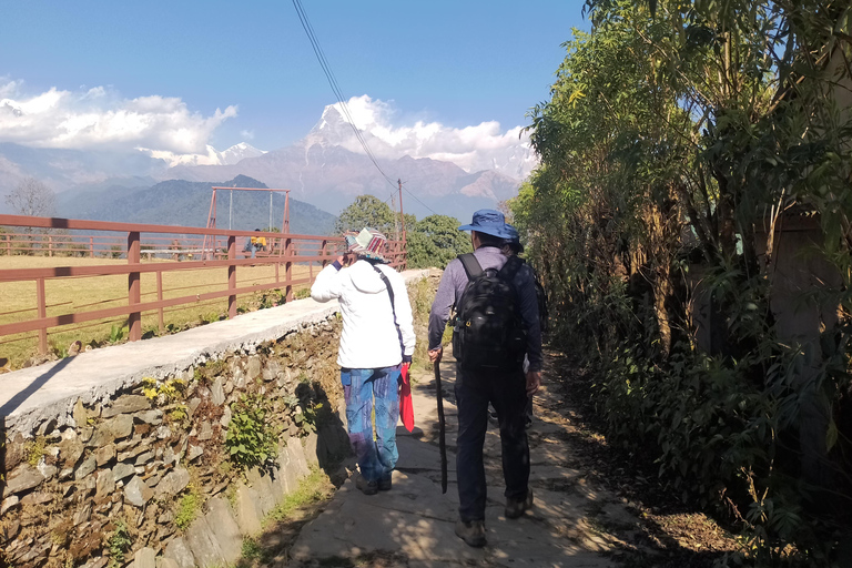 波塔纳与澳大利亚营地短途徒步（从博卡拉出发）短途徒步：从博卡拉出发前往波塔纳与澳大利亚营地