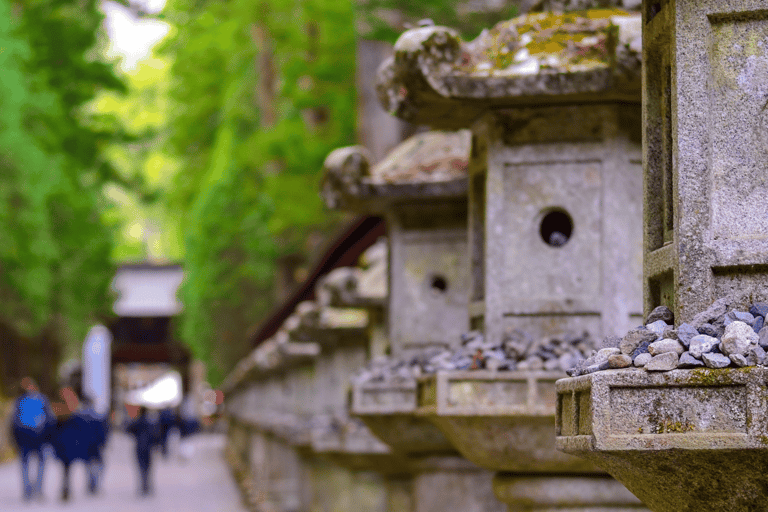 Tokyo: Nikko National Park Private Tour Hotel Pickup & Drop