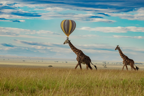 Arusha: 3-dagars safari till Tarangire och Lake Manyara National...