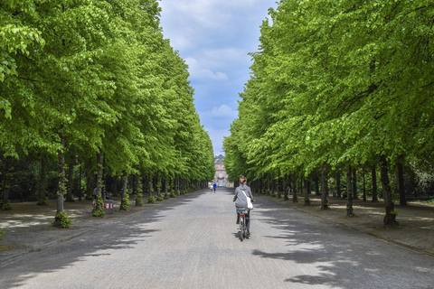 Lo más destacado del tour guiado privado por la ciudad de Düsseldorf