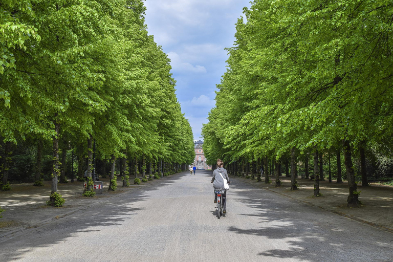 Düsseldorf stadsrondleiding met gids hoogtepunten