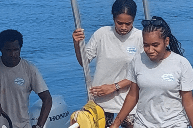 Deportes acuáticos Port Vila: Aventura de snorkel en el Triple ArrecifePort Vila: Aventura de snorkel en el Triple Arrecife