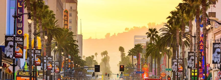 Los Angles : Visite privée personnalisée d'une journée avec chauffeur