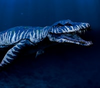 Teruel，Dinopólis入口票 - Housity