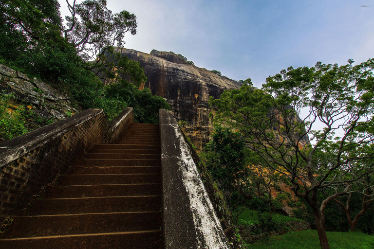 Sigiriya: Rock Hike, Elephant Safari & Polonnaruwa City Tour