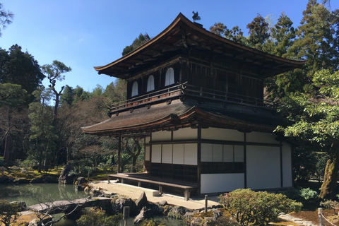 Sacred Pathways: Discover the Philosopher's Path of Kyoto