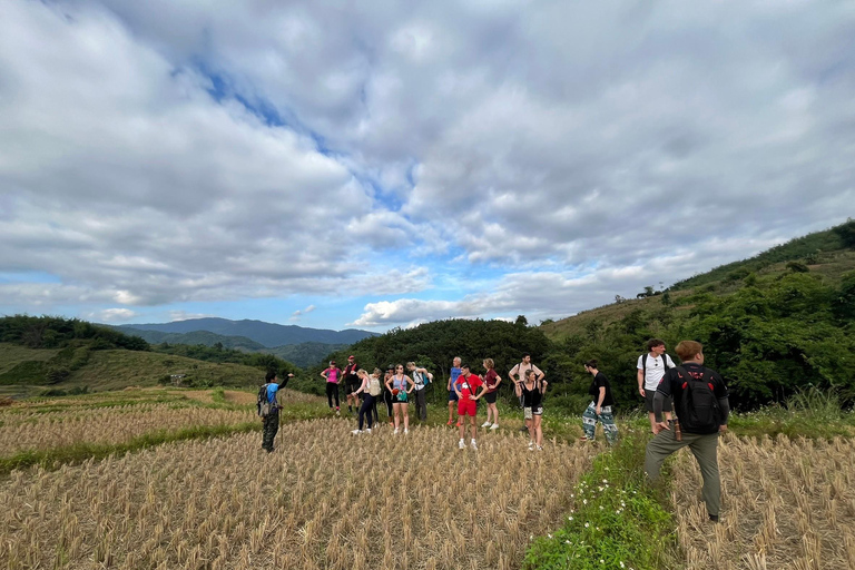 Chiang Rai: Jungle Adventure-Group Trekking & Bamboo Cooking