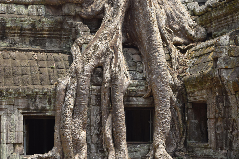 Siem Reap: Angkor Wat soluppgång Privat Tuk-Tuk-tur