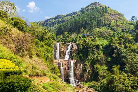 Nuwara Eliya to Kandy: Transfer with Waterfall & Tea Tour