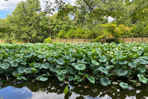 نارا وأراشيياما: جولة بالحافلة لمشاهدة الغزلان والخيزران والمعابدمن كيوتو