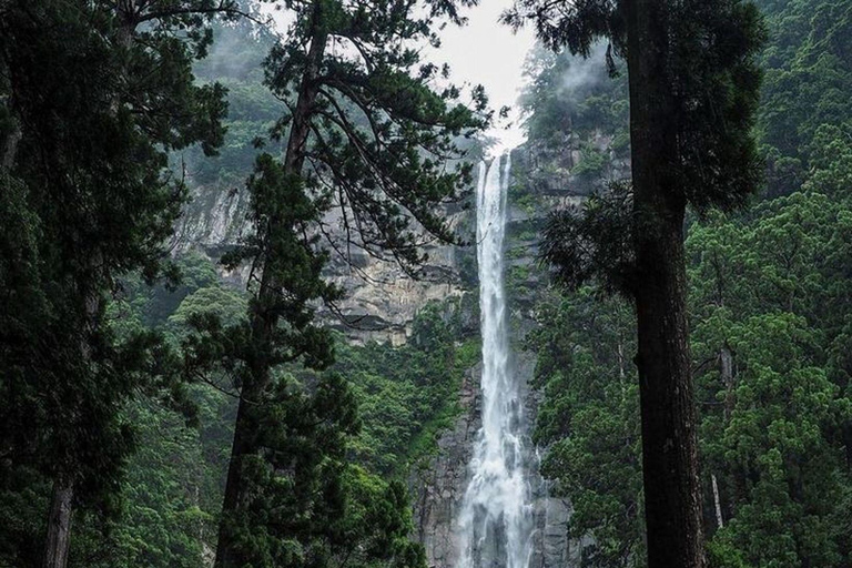 Nikko Private Day Tour From Tokyo Toshogu Shrine Kegon Fall In Luxury Mini Van Nikko Day Trip