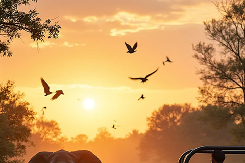 Professional Wildlife & Birdwatching Expedition – Minneriya