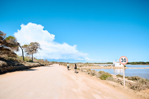 Ibiza: Formentera Boat Trip with Food, Drinks, & Bike Tour All- Inclusive Boat&Bike Tour in Formentera I Origin Edition